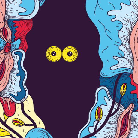 DE LA SEXUALITÉ DES ORCHIDÉES